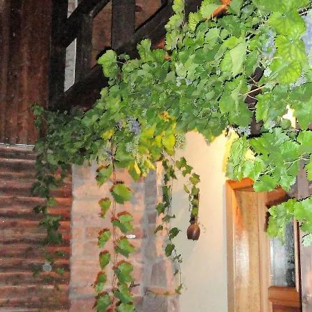 Modern Holiday In Laucha Thuringia With Private Terrace *